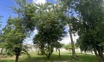 Imagem 5: Apartamento mobiliado 2/4 no benedito bentes