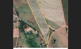 Imagem 2: Sítio em Uchoa (6,5 Alqueires