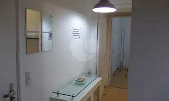 Imagem 6: Oportunidade Pedro Doll