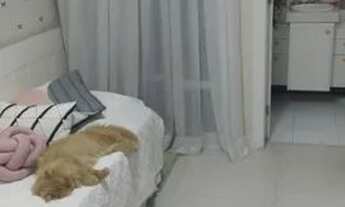 Imagem 7: Anderson Martins vende belíssimo apartamento de 4 quartos na praia da costa cod 23585 R