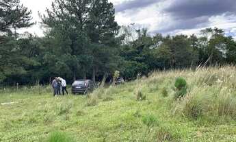 Imagem 6: 115251 SÍTIO EM TAQUARA 22 HECTARES ESCRITURADO, PASTO, RIACHO, VERTENTE