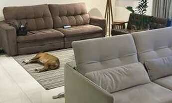 Imagem 5: Apartamento com 4 dormitórios para alugar, 202 m² por R$ 13.000/mês - Centro Empresarial T