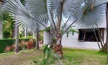 Imagem 6: Recife - Casa - Poço