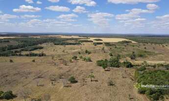 Imagem: Fazendas em Tocantins