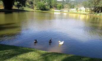 Imagem 3: Terreno Santa Helena 1200 m2