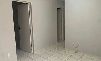 Imagem: Apartamento para aluguel possui 53 metros