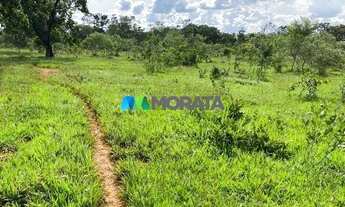 Imagem 7: CURVELO - Fazenda - Zona Rural