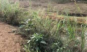 Imagem 3: Propriedade 15 alqueires em muriaé sentido boa família