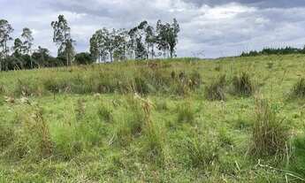 Imagem 2: 115251 SÍTIO EM TAQUARA 22 HECTARES ESCRITURADO, PASTO, RIACHO, VERTENTE
