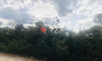 Imagem 7: NOVA LIMA - Loteamento/Condomínio - Arvoredo