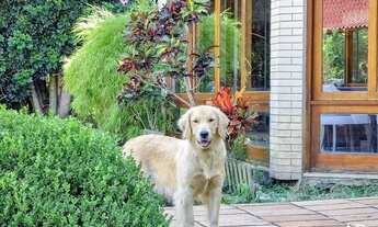 Imagem 4: Casa com 4 dormitórios à venda, 390 m² por R$ 2.500.000,00 - Paragem dos Verdes Campos - G