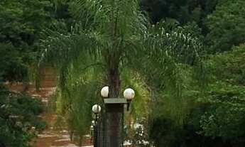 Imagem 6: Poço do Pintado - Condomínio de Lazer e Pesca