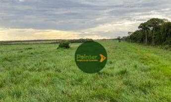 Imagem 2: Fazenda à venda, 12000000 m² por R$ 42.000.000 - Zona Rural - Alta Floresta/MT