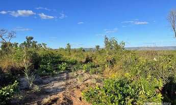 Imagem 5: Fazenda à venda, 508Ha em- Miracema do Tocantins-TO