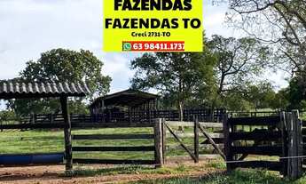 Imagem 6: Fazenda 136 alqueires a 30 km de Araguaina dupla aptidão ...