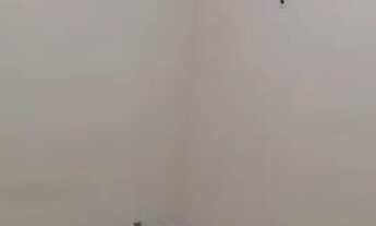 Imagem 2: Alugo kitnet Kitnet com 1 dormitório