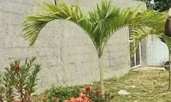 Imagem 6: 2/4 vista mar com cobertura