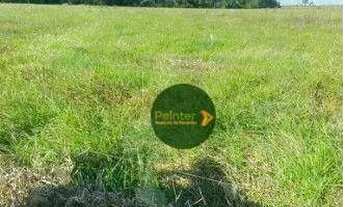 Imagem 7: Fazenda à venda, 12000000 m² por R$ 42.000.000 - Zona Rural - Alta Floresta/MT