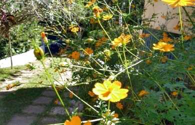 Imagem 2: Fazenda/Sítio/Chácara para venda possui 9200 metros quadrados com 3 quartos - CAMAÇARI - B