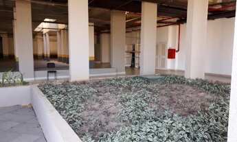 Imagem 4: Vendo apartamento