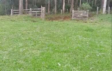 Imagem 3: Chácara em São José dos pinhais, Troca , vende