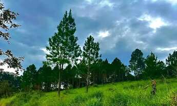 Imagem 5: Terreno em São Roque: Potencial de Valorização, Turismo,Lazer ou Investimento!!NA ROTA DO