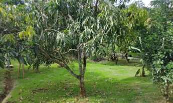 Imagem 7: Linda chácara para venda no Ponunduva - Cajamar - SP