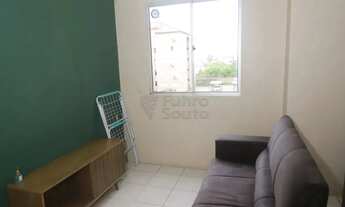 Imagem 4: Apartamento Padrão em Pelotas