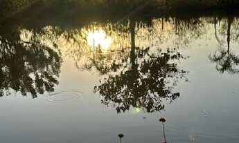 Imagem 6: Chácara em Idrolandia a 7 km da cidade .