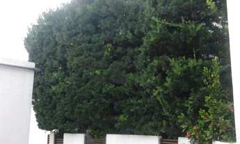 Imagem 5: Prédio Comercial com 570m² para Alugar na Chácara Santo Antônio, São Paulo/SP