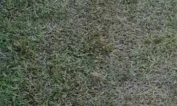 Imagem 2: Casa Casa com 1 dormitório