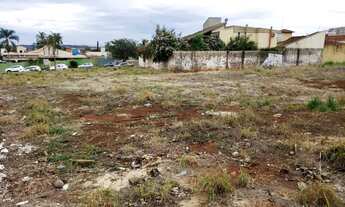 Imagem 6: Lotes comerciais para locação na Avenida Professor João Fiúsa