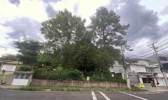 Imagem 2: Terreno com 3 Dormitorio(s) localizado(a) no bairro PATRIA NOVA em NOVO HAMBURGO / Ref.:30