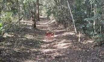 Imagem 6: Sítio com 2 dormitórios à venda, 63000 m² por R$ 4.400.000,00 - Santa Barbara (São Francis