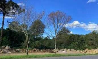 Imagem: Terreno para Venda em Nova Petrópolis