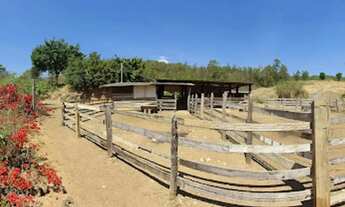 Imagem 6: Sítio em Rodovia Engenheiro Constâncio Cintra - Área Rural de Itatiba - Itatiba/SP