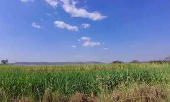 Imagem 6: Terreno para venda com 96800m² em Cravinhos