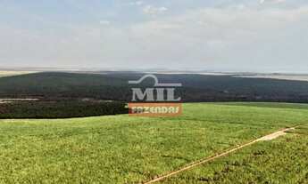 Imagem 5: Fazenda em Mineiros-GO. Área Total: (379 Alqueires) 1.835 Há