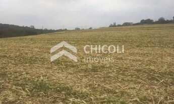 Imagem 2: Residencial Lote/Terreno em