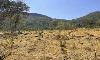 Imagem 7: Fazenda 20 alqueires