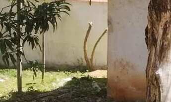 Imagem: Terreno localizado em Araruama/bananeiras