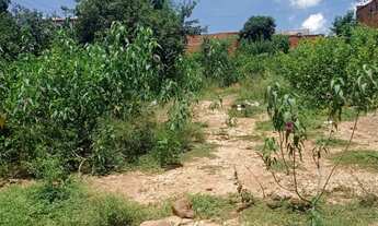 Imagem 6: Lote Santa Rafaela