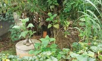 Imagem 3: Terreno plano à venda, plano, com 800 m² no Bairro dos Freitas SJC