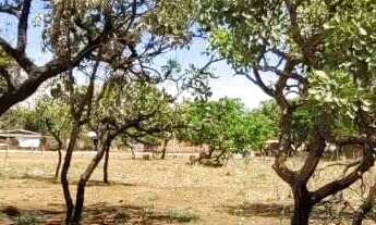 Imagem 6: Área com 4 mil m² para venda na Quadra 94, Setor Lagoa Quente em Caldas Novas - GO