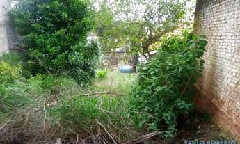 Imagem 3: AREA - PENHA - SP