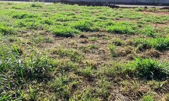 Imagem 3: Terreno à venda com 305 m² no Quinta dos verdes, em Paulínia