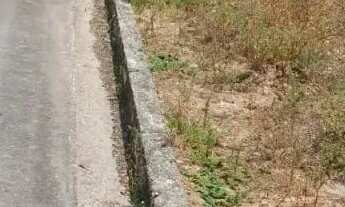 Imagem 5: Lote à venda em rua pública, TABULEIRO DO PINTO, Rio Largo, AL