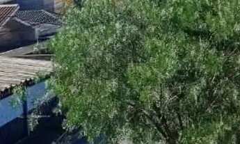 Imagem 7: Galpão em Rua Tucunaré - Jardim Helena - São Paulo/SP