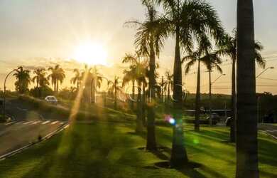 Imagem 5: Terreno à venda em Campinas, Loteamento Residencial Tie Campinas, com 1185.28 m², Tiê Camp