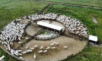Imagem 4: Fazenda para venda possui 3950000 metros quadrados